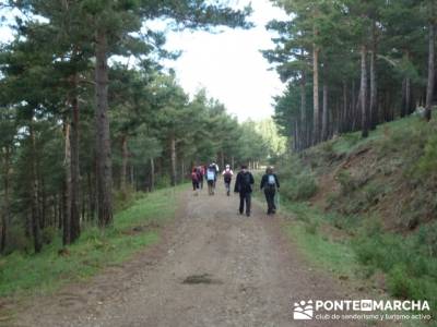 Ruta de Senderismo - Altos del Hontanar; granja de san ildefonso segovia